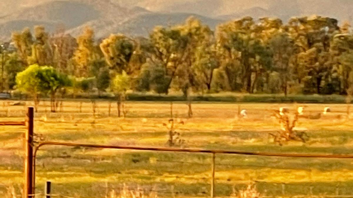 Waverley Historical Homestead