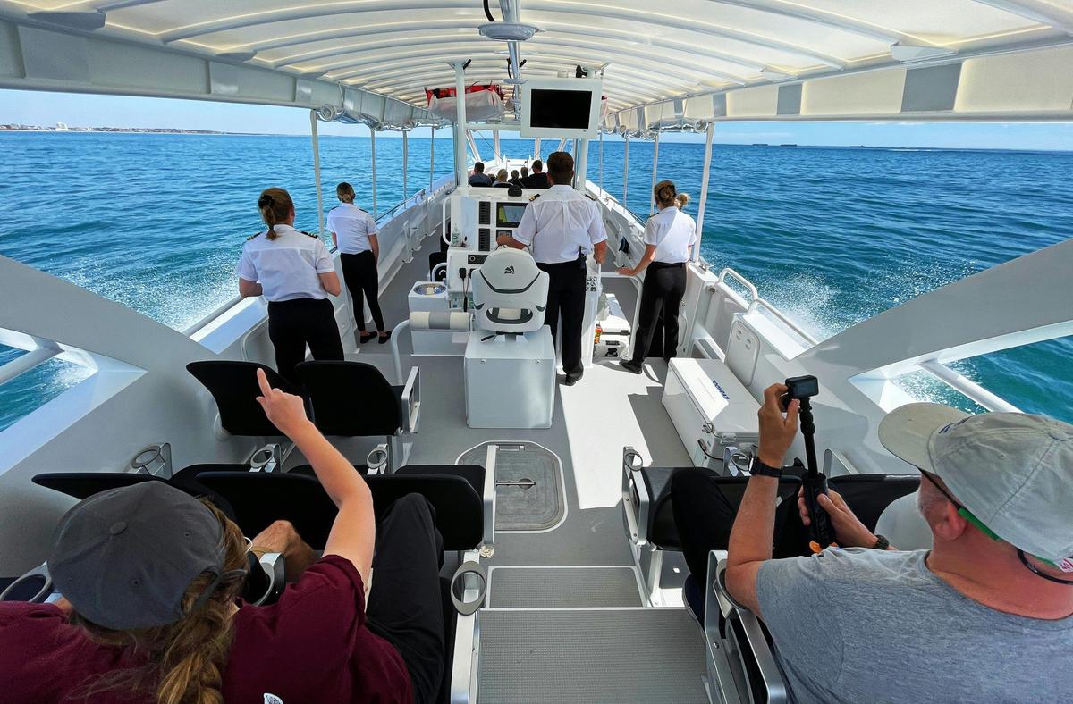 Whale Watch Queensland