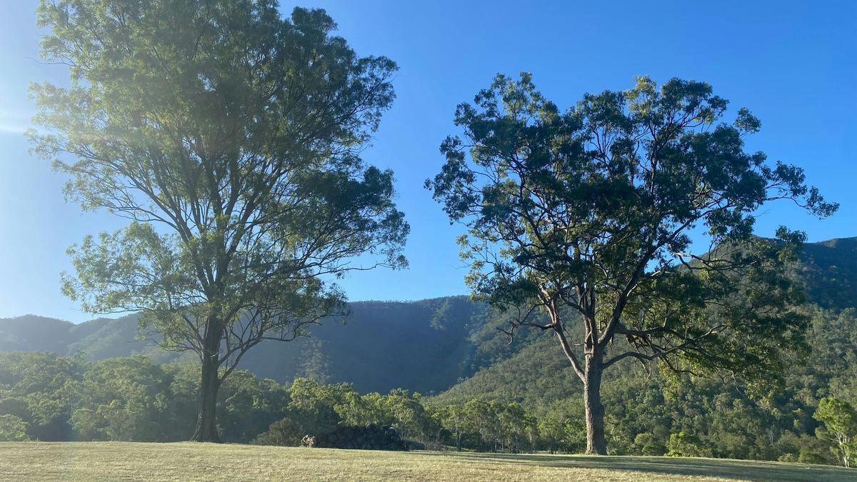 Widgee International