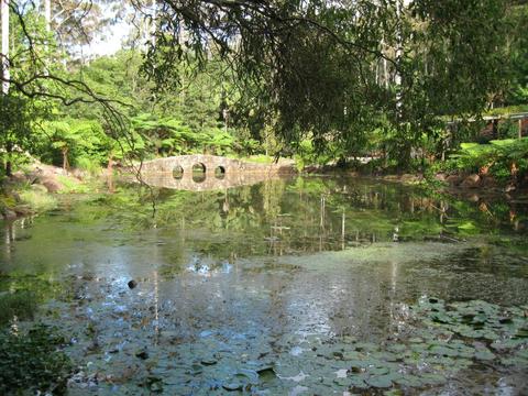 Mount Tamborine