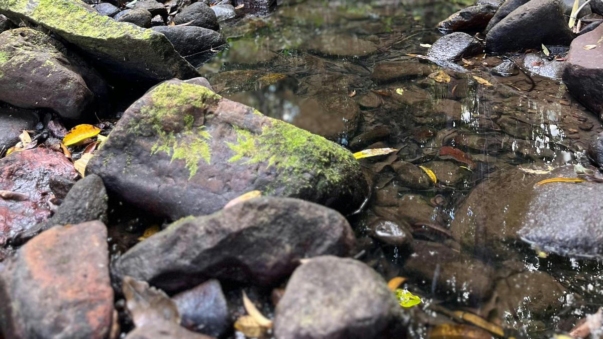 Natural stream
