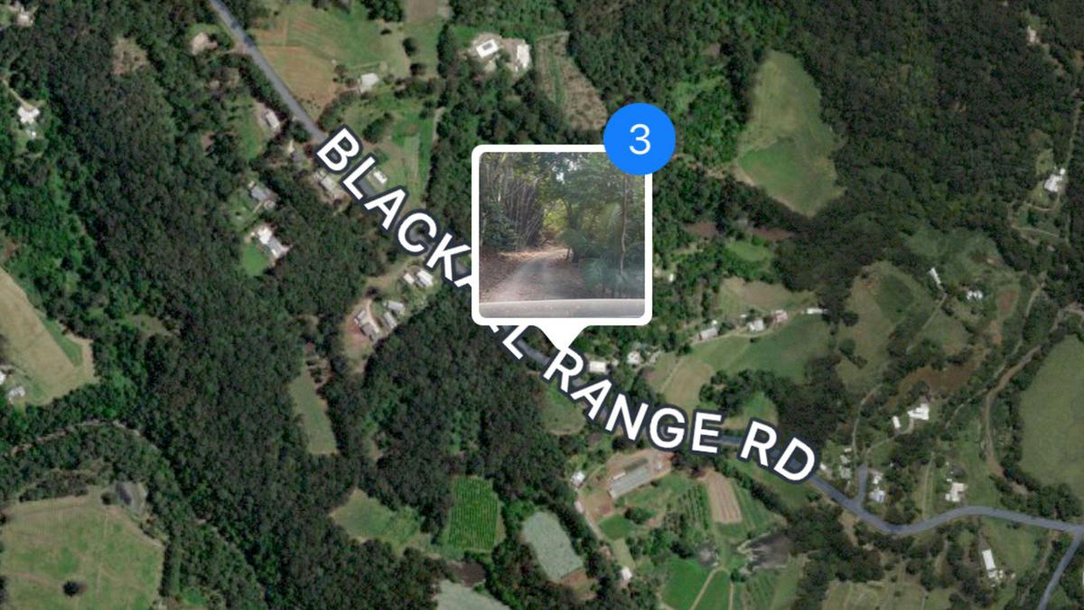 Our campsite is nestled in the beautiful rainforest