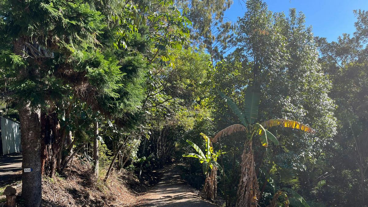 Starting point of track to camp site. 700 metres drive (approx 5 minutes from start to camp site). Option to also park and hike to camping area