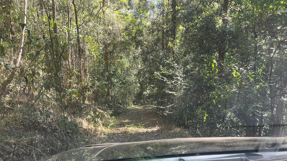 Track to camping site.
700 metres from main road to camping area