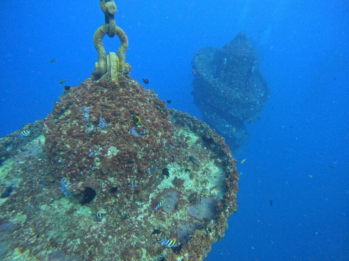 Wonder Reef Gold Coast