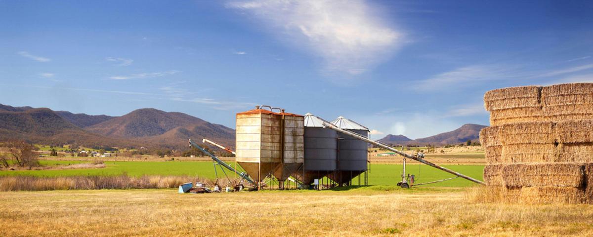 Farming, Southern Downs