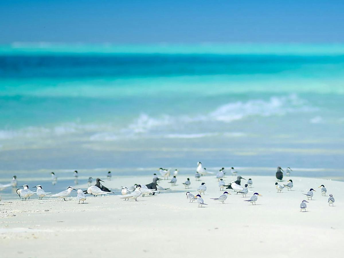 Coral Cay Bubbles - Exclusive Tour (approx 1 hr)