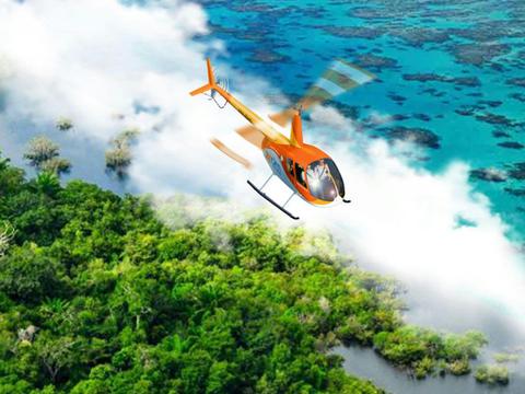Reef & Rainforest Duo - 60 minute Reef and Rainforest Scenic Flight