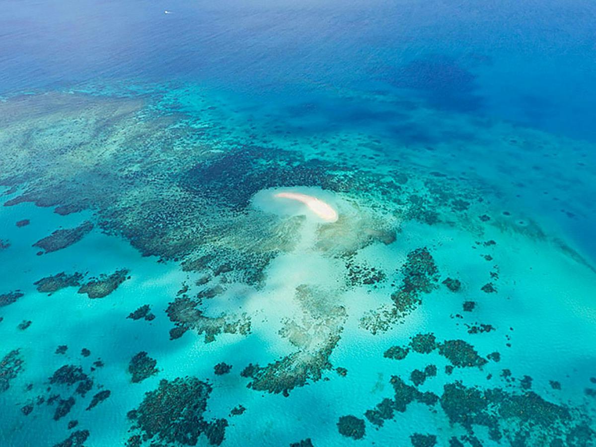 Outer Reef Odyssey - 40 minute Reef Scenic Flight