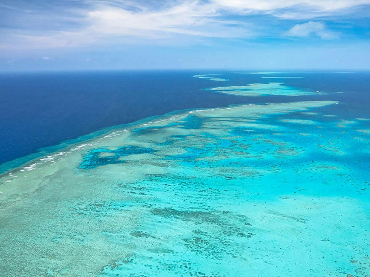 Inner Reef Explorer - 30 minute Reef Scenic Flight