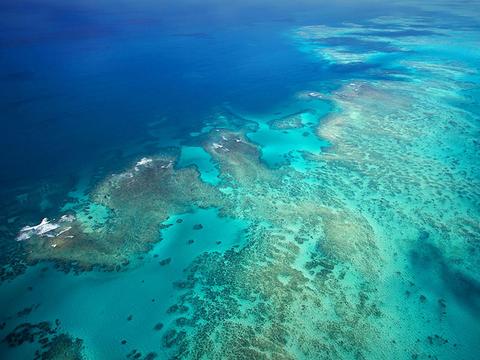 Outer Reef Odyssey - 40 minute Reef Scenic Flight