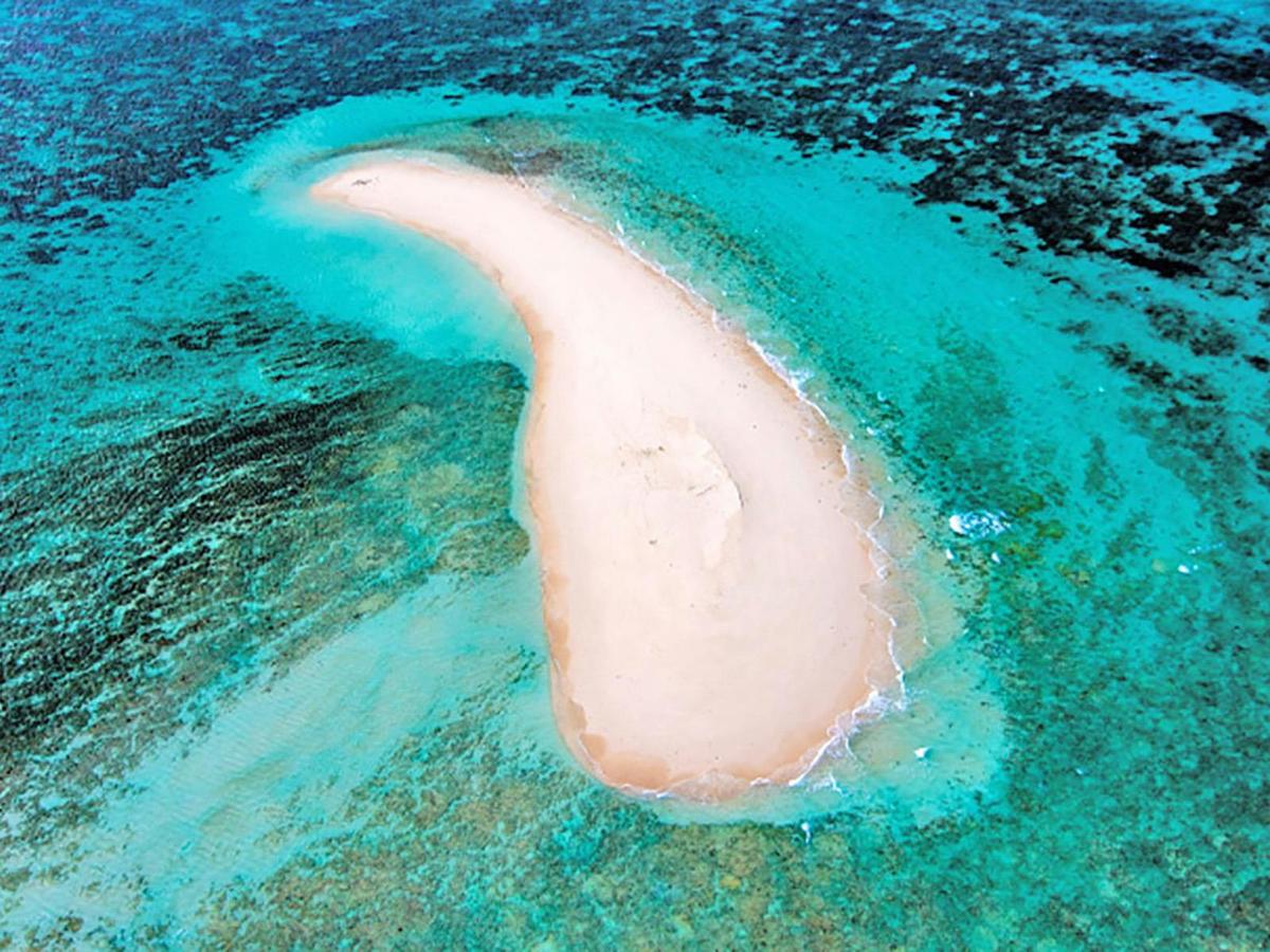 Coral Cay Bubbles - Exclusive Tour (approx 1 hr)
