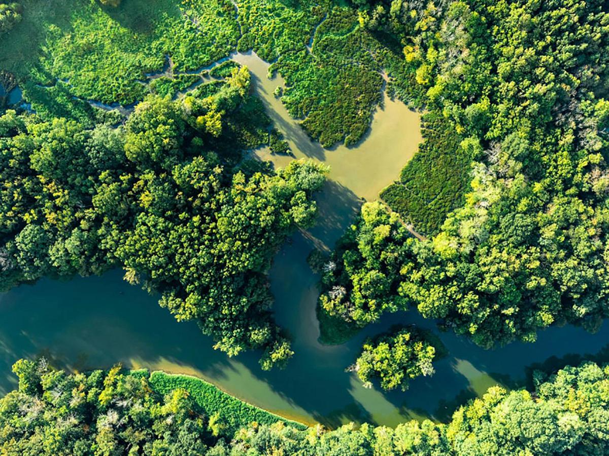 Beyond the Range - 30 minute Rainforest Scenic Flight