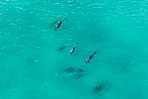 Straddie Sun Sand and Surf Tour