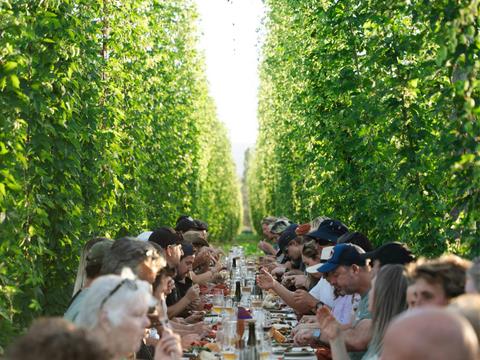 Ryefield Hops - Dine in the Bines