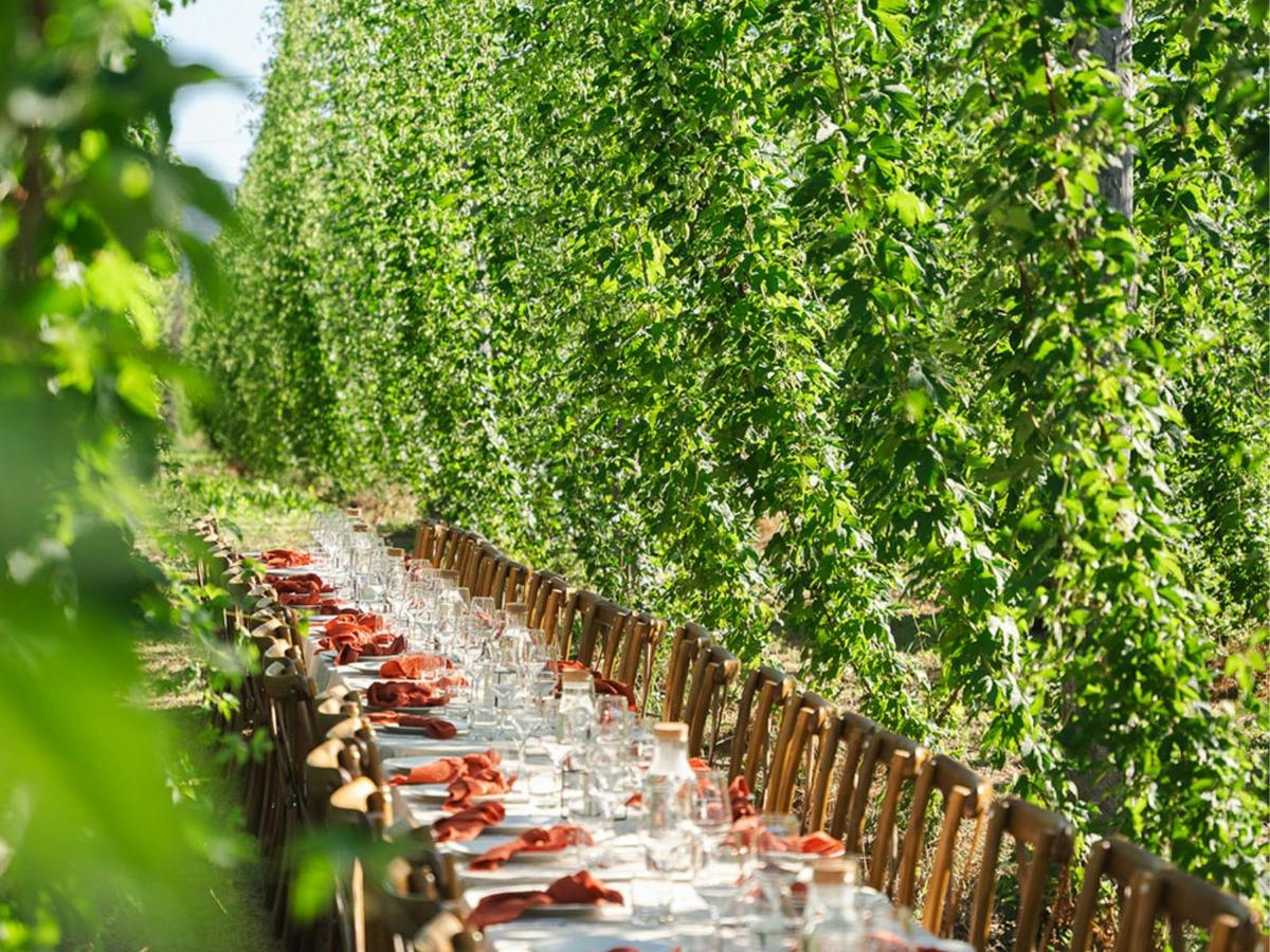 Dine in the Bines