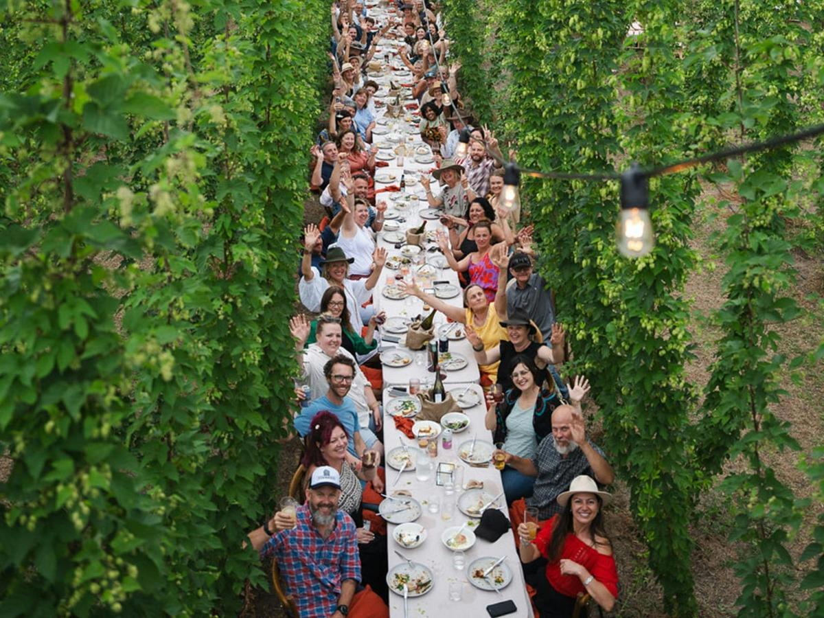 Dine in the Bines