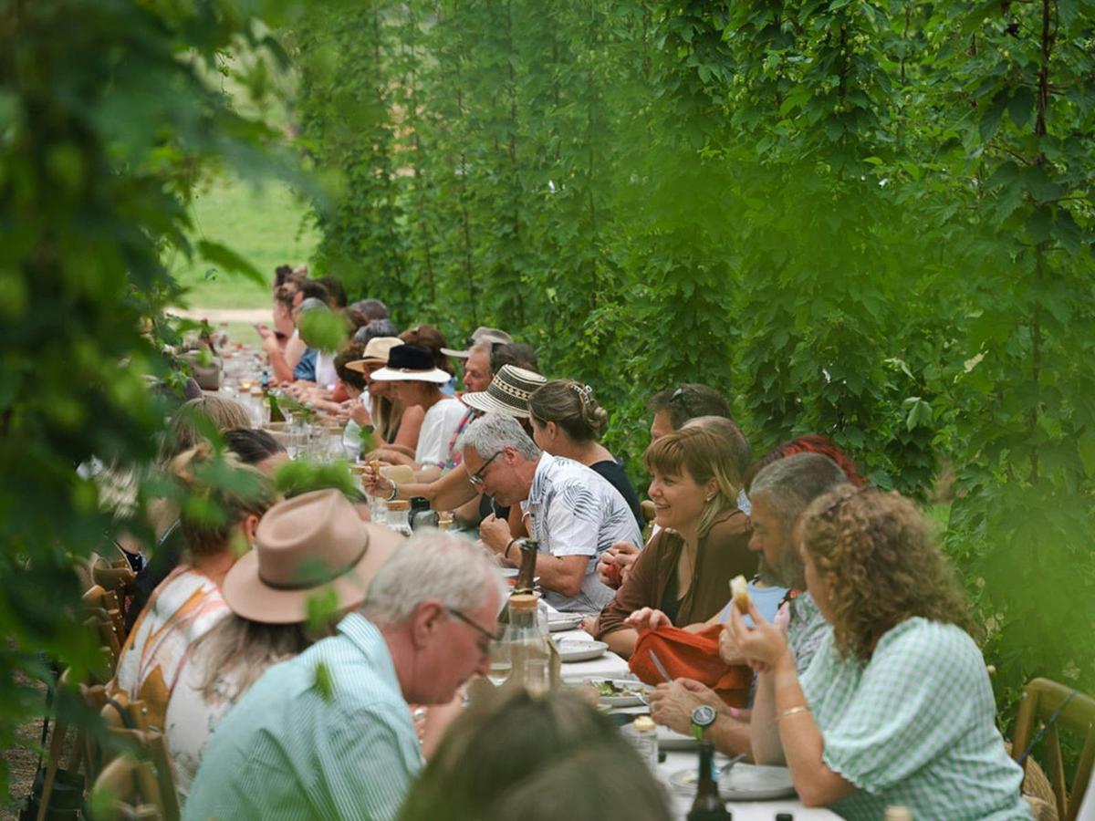 Dine in the Bines