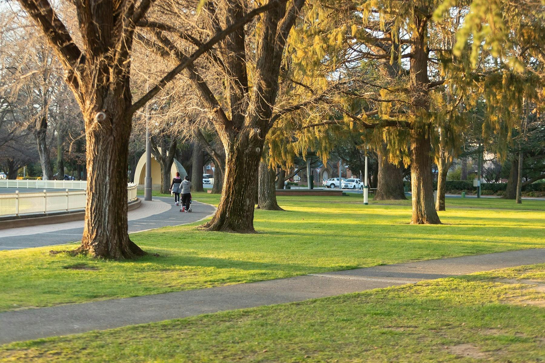 Queanbeyan Town Park Brad Haddin Oval