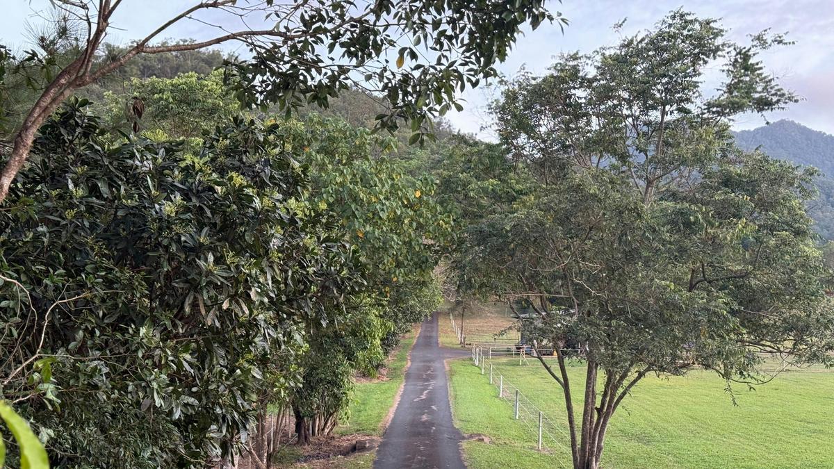 Run to Paradise