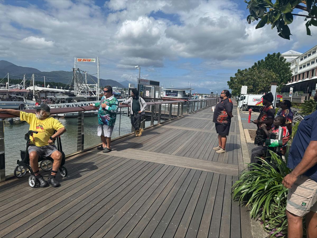 Cairns Short Tour 1 hour On Country Guided Experience