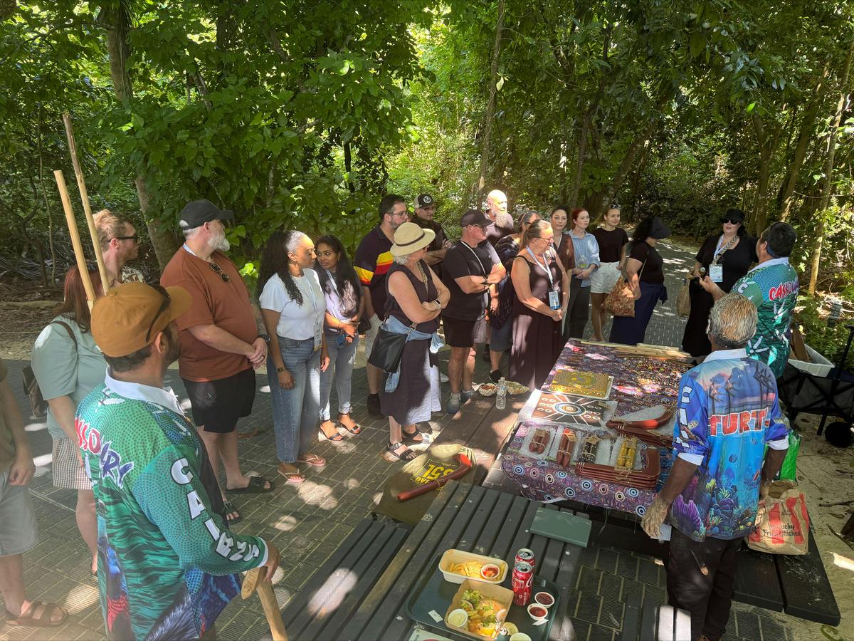 Cairns Short Tour 1 hour On Country Guided Experience