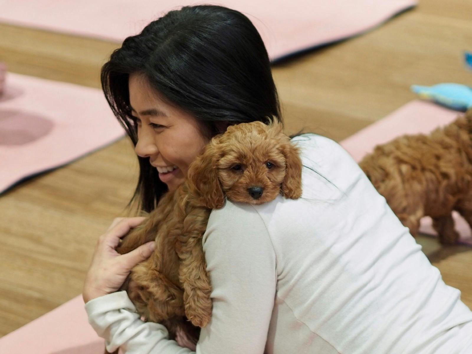 Cavoodle puppy yoga