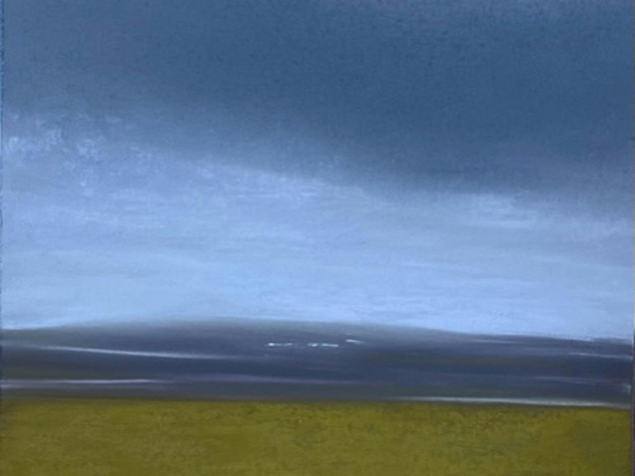 Quietlands by Fiona Kent at The Peisley St Gallery