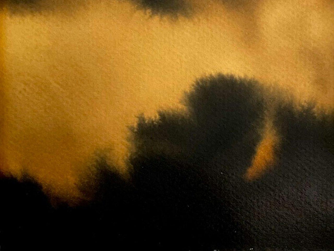 Quietlands by Fiona Kent at The Peisley St Gallery