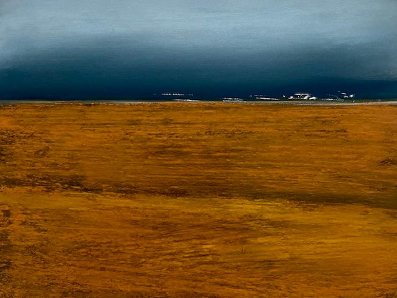 Quietlands by Fiona Kent at The Peisley St Gallery
