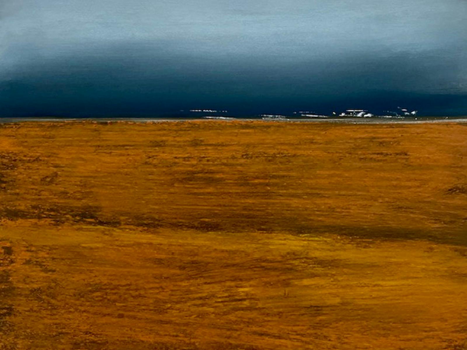 Quietlands by Fiona Kent at The Peisley St Gallery