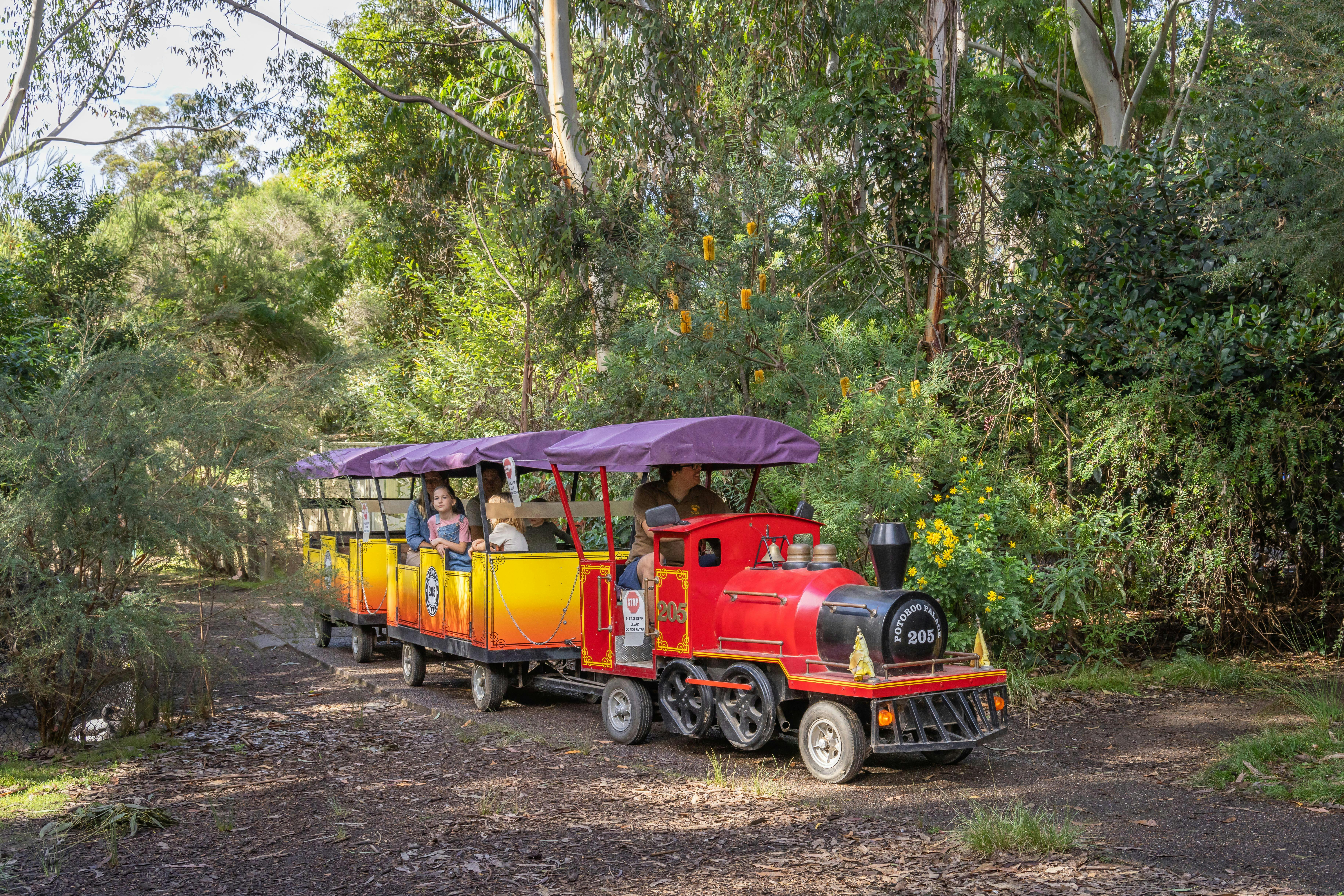 Potoroo Train