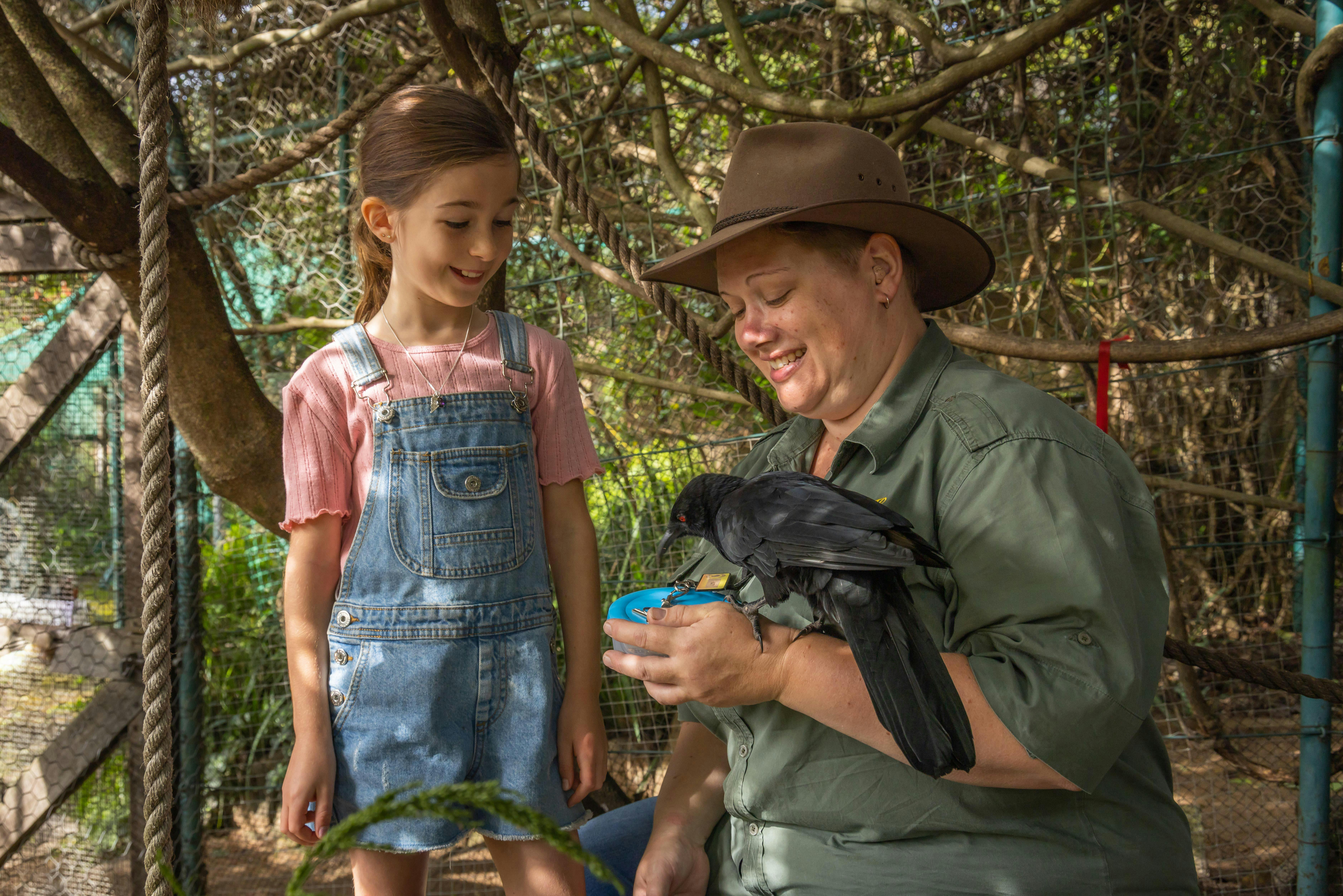 There are many diffrent encounters to choose from