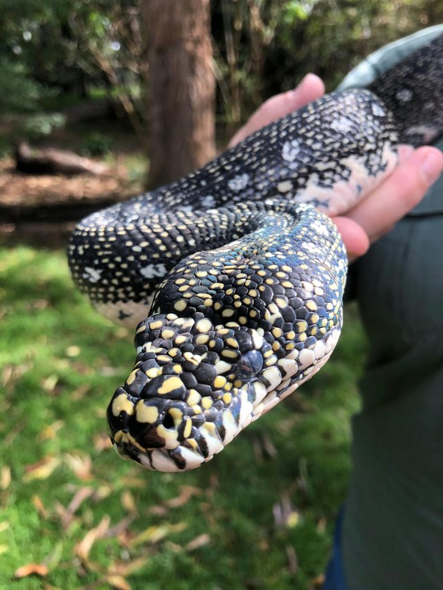 Potoroo Palace - Native Wildlife Park
