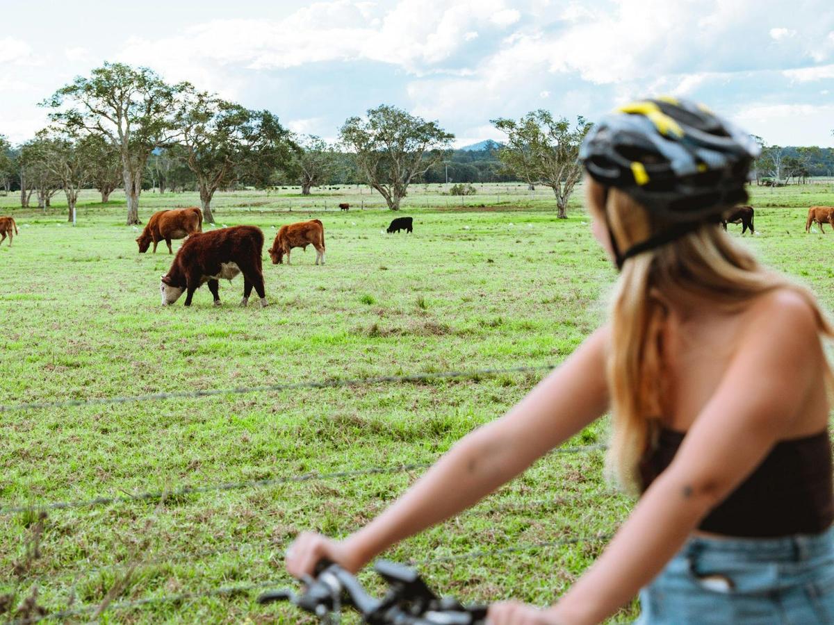 Cycle past farmland on the way