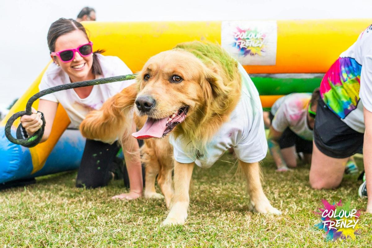 Colour Frenzy Wollongong