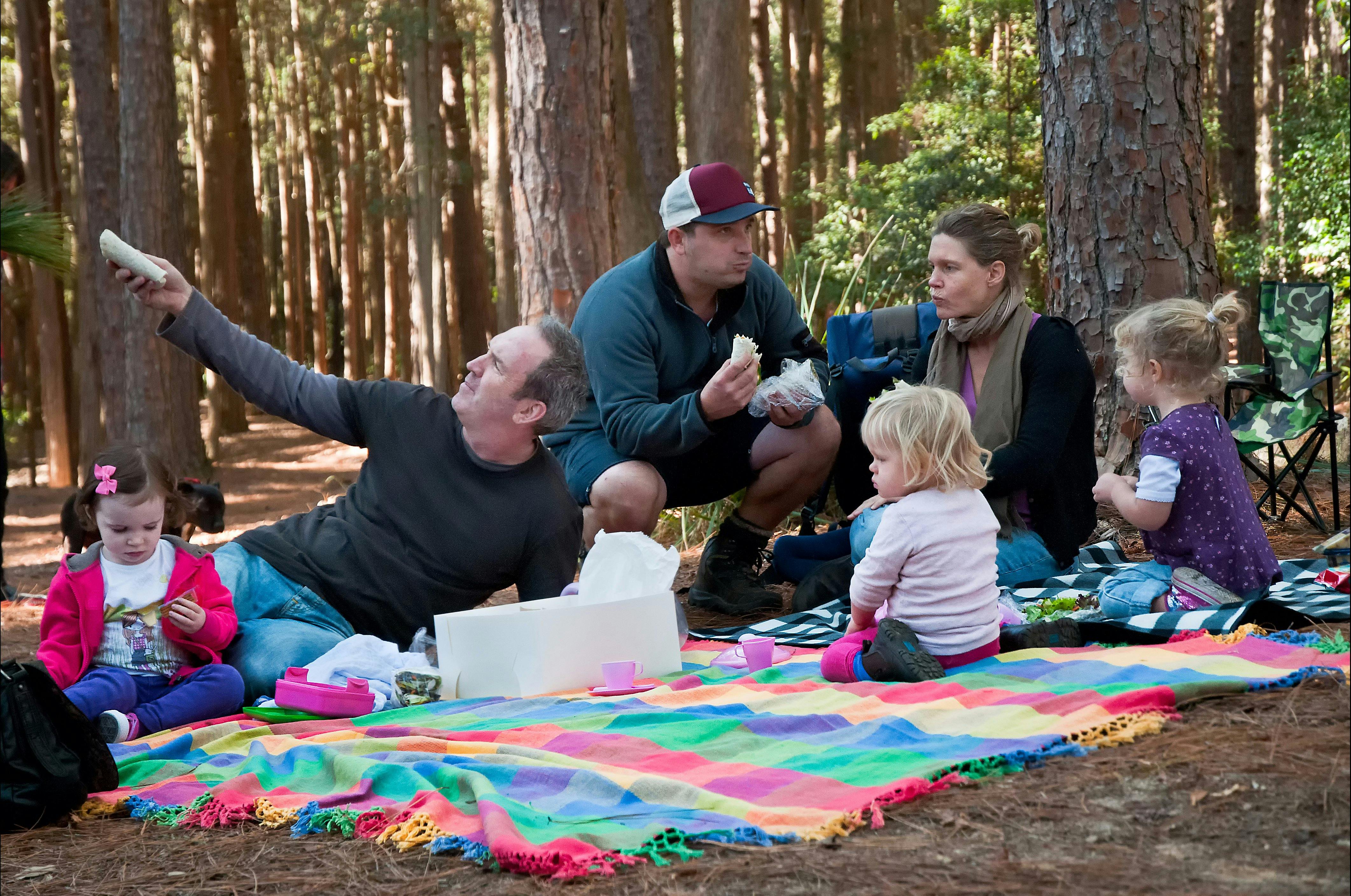 Picnicking in The Pines, Olney State Forest