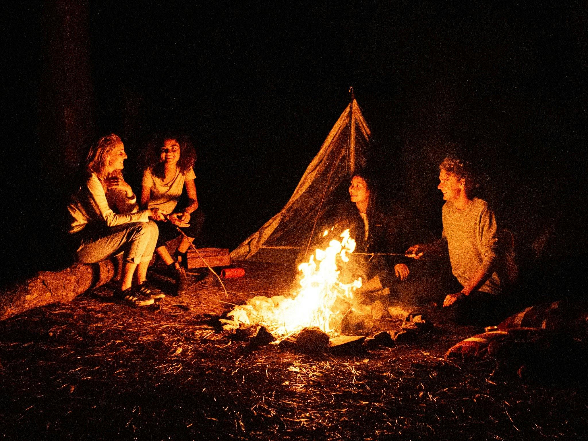Olney State Forest - Watagan Mountains