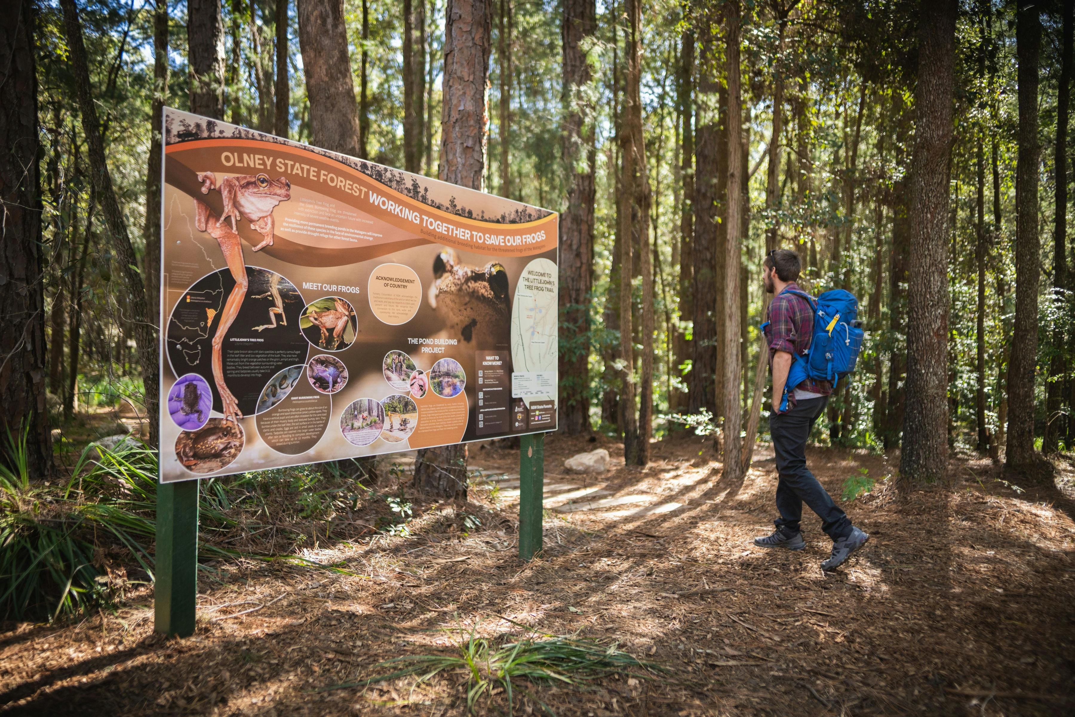 Interpretive signage near The Pines picnic area, Olney State Forest