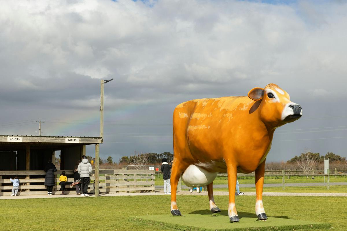 The Big Cow