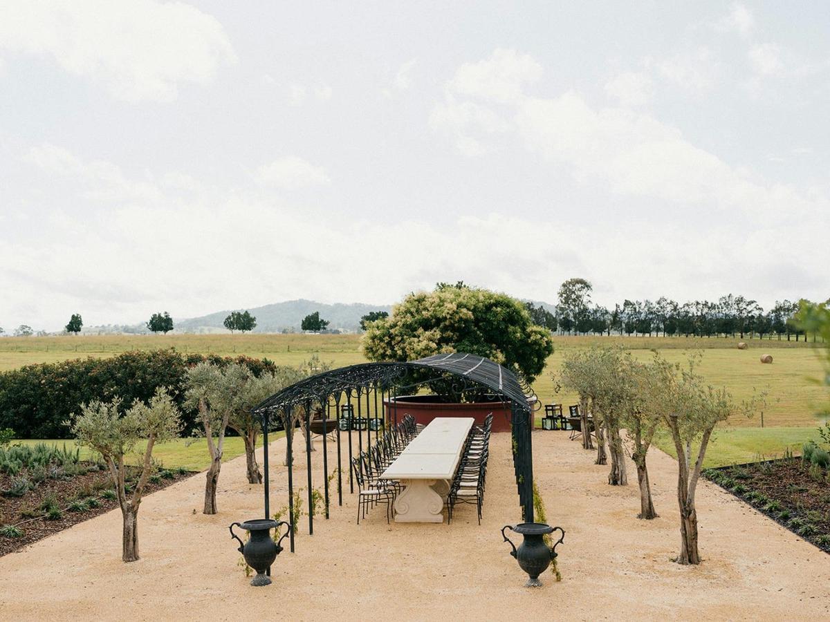 The Olive Grove