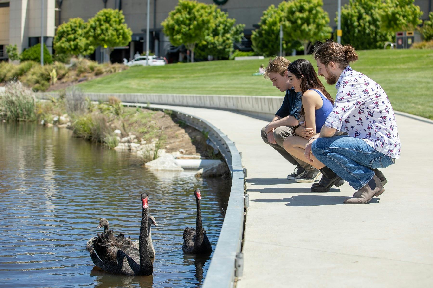 Queen Elizabeth II Park Queanbeyan