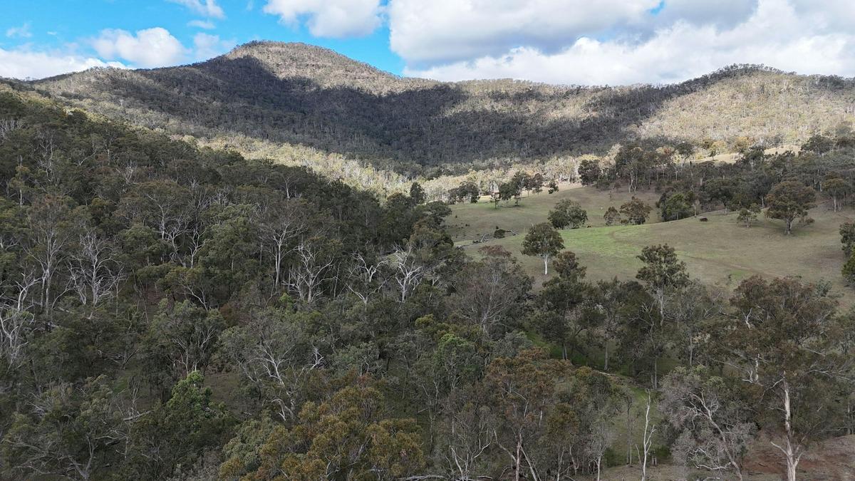 Kewarra