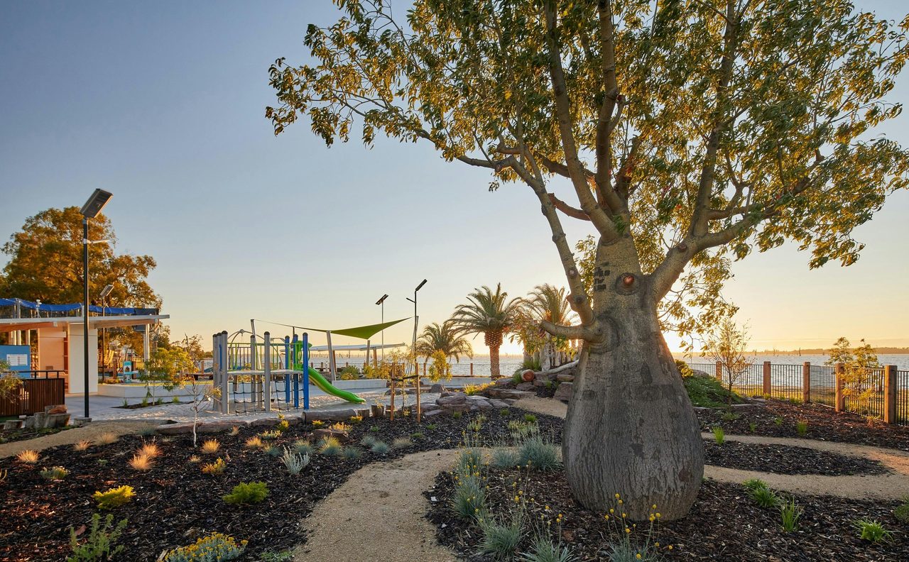 Another walking track at Purtle Park.