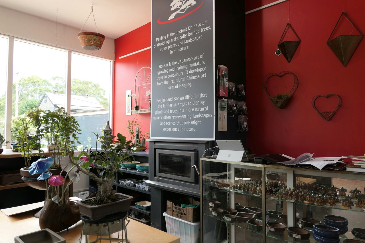 Bonsai Showroom
