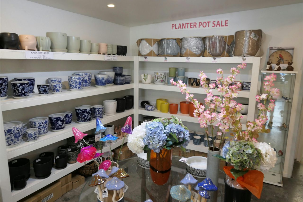 Indoor Pots