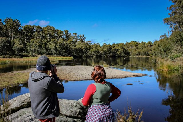 Paddys River Dam, Bago State Forest