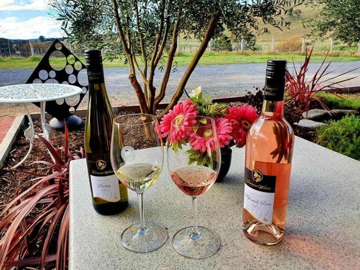 Wine and Chocolate Experiences at Dionysus Winery
