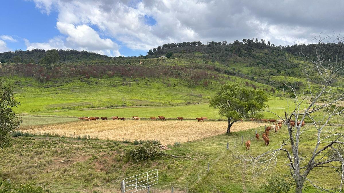 Wattle Tree Hill