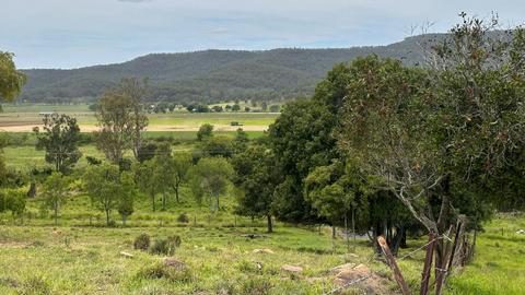 Wattle Tree Hill